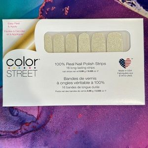 Color Street Retired Home Sleet Home